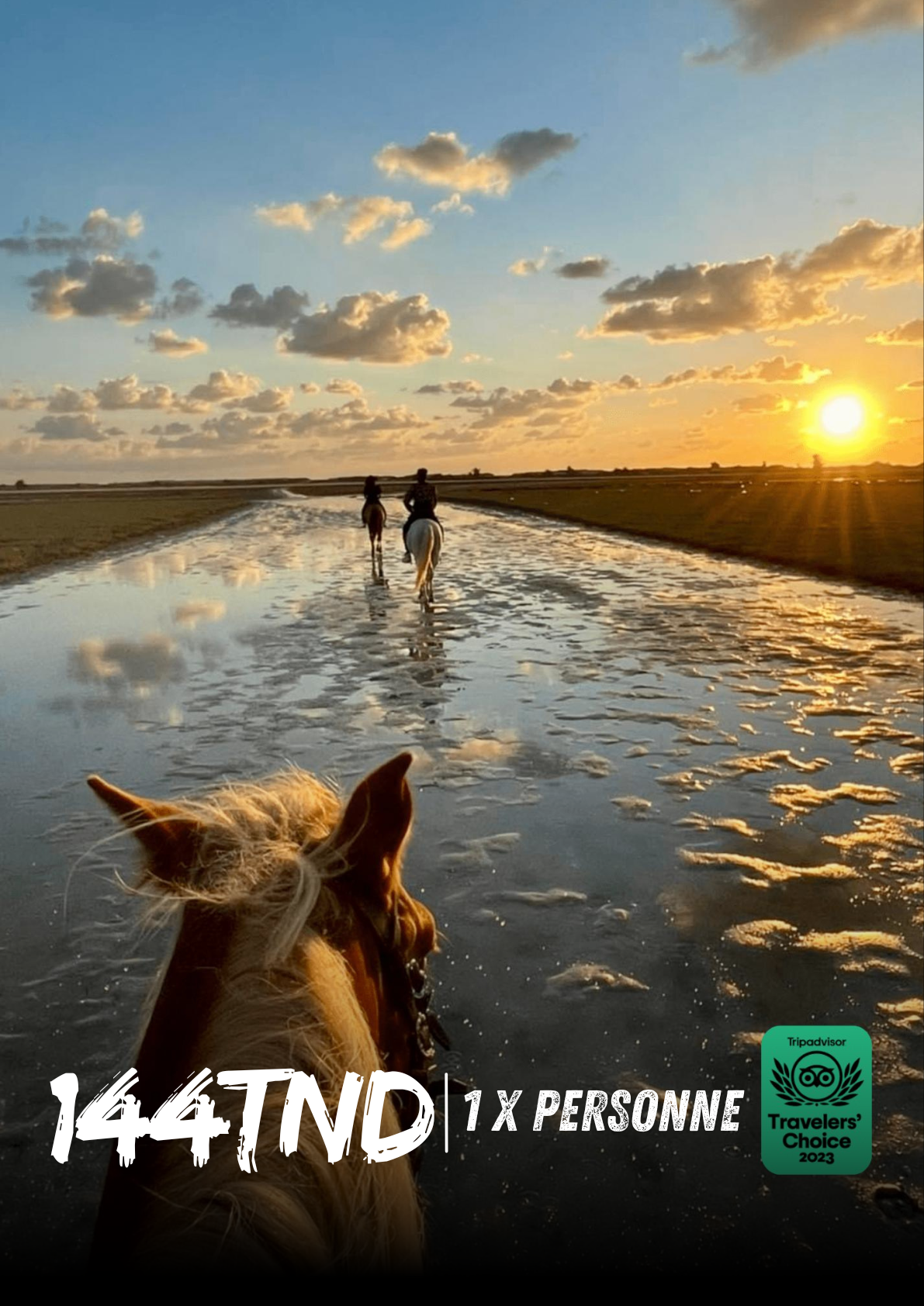 Balade à cheval 03 heures au lever du soleil à Djerba