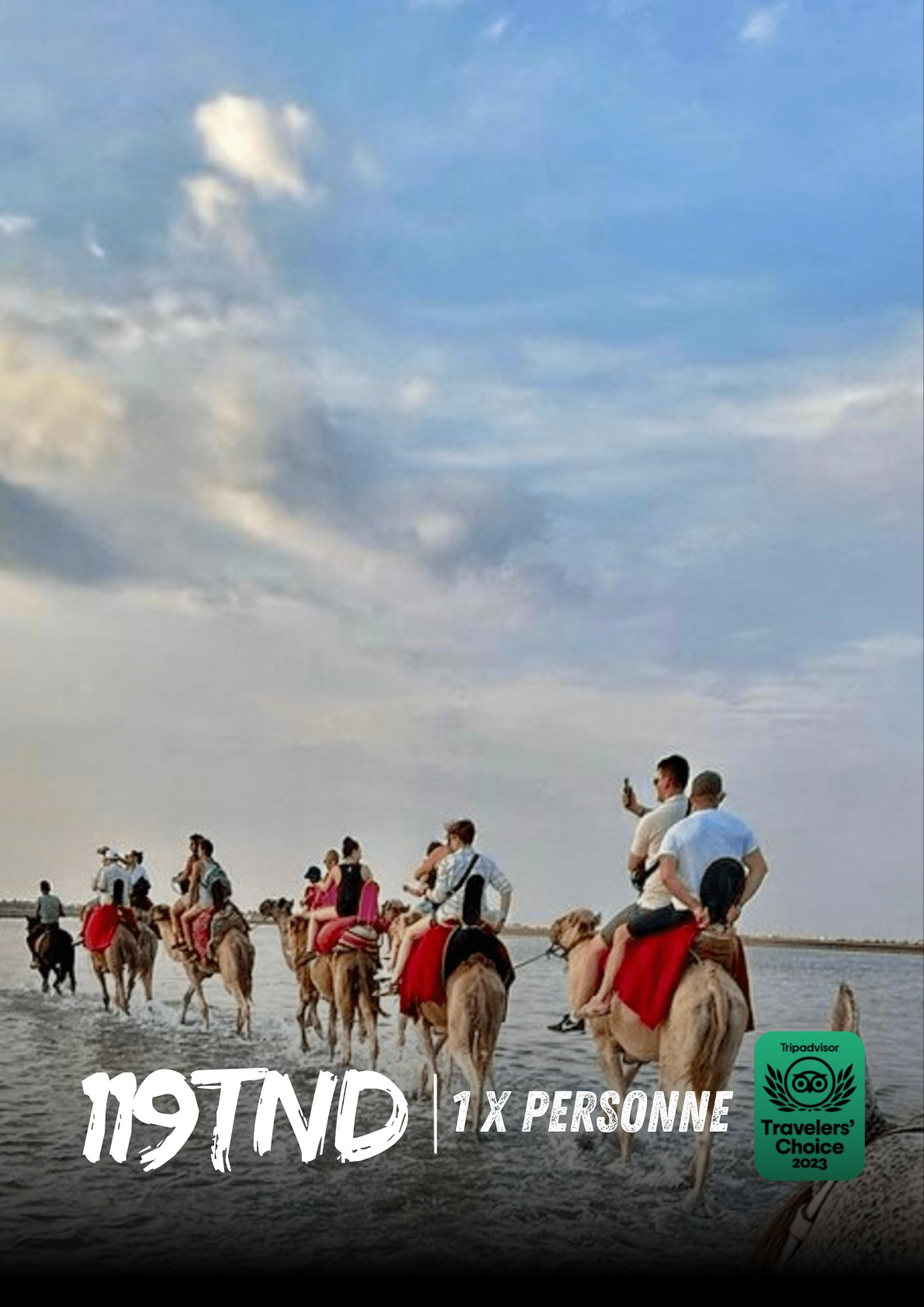 Balade à dos de Dromadaire 02H30 Lagune & Découverte à Djerba
