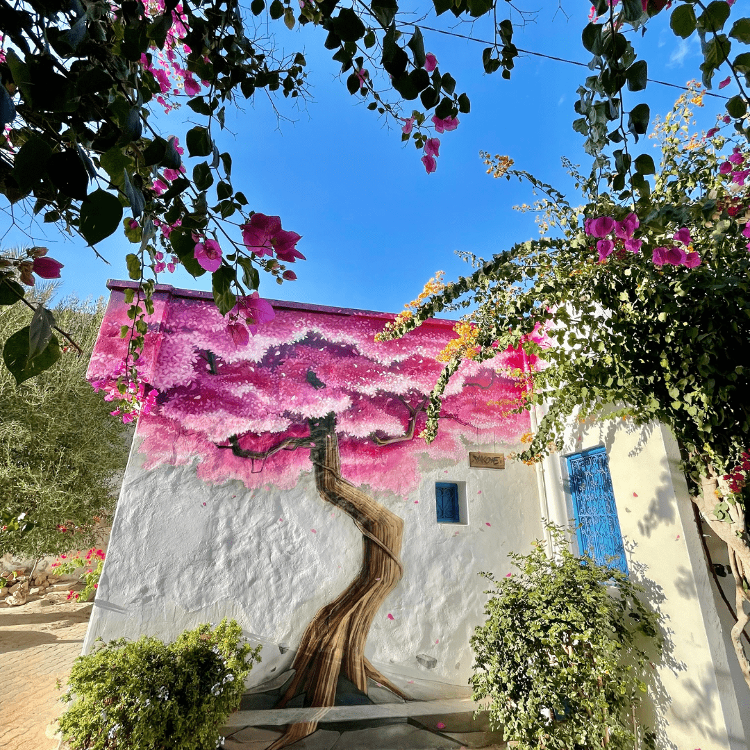 Djerbahood Tour (45TND/per) – Image 2