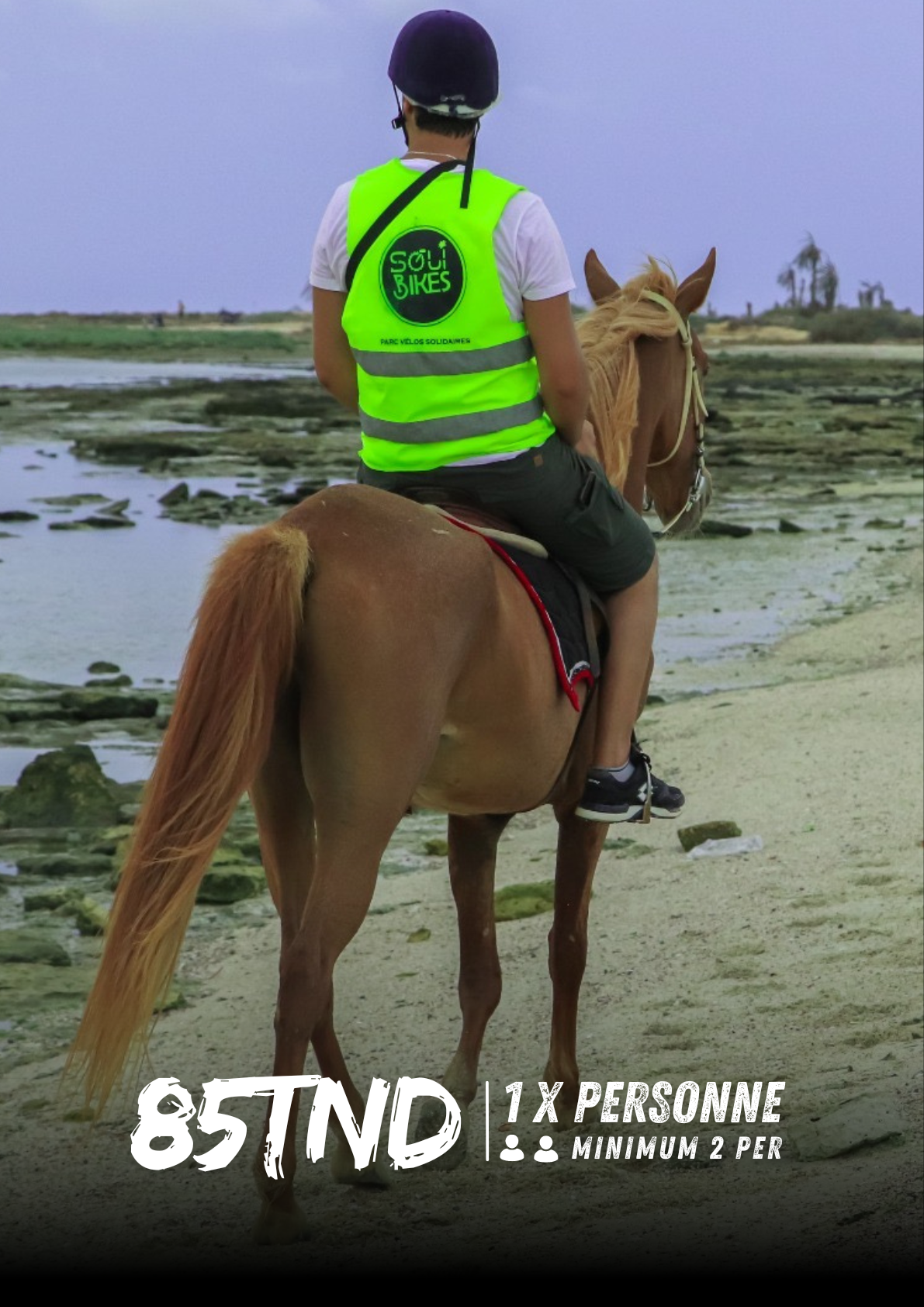 Équivélo à Djerba : Vélo & Équitation (85TND/per)