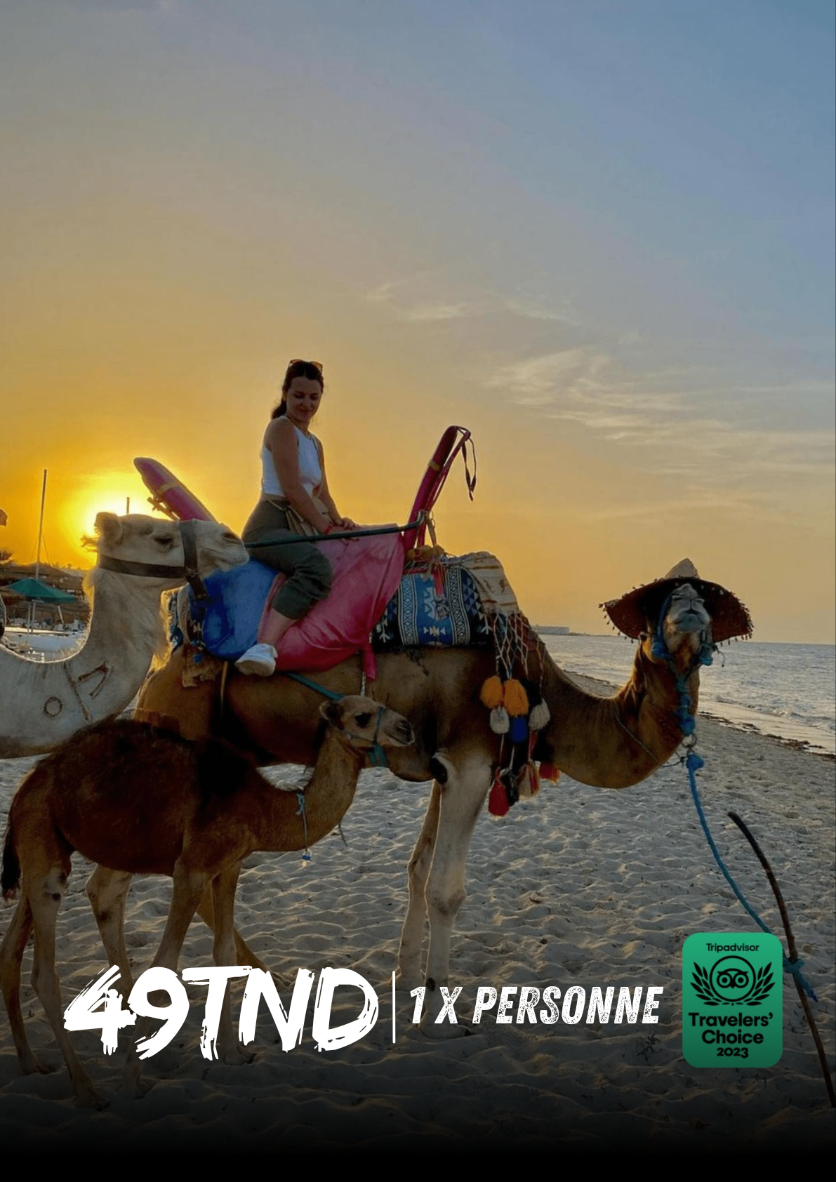 Balade à dos de Dromadaire 01 heure campagne et plage à Djerba