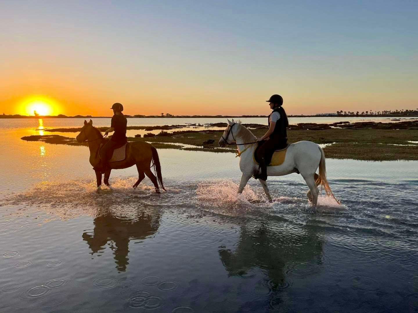 Balade à cheval 03 heures au lever du soleil à Djerba – Image 2