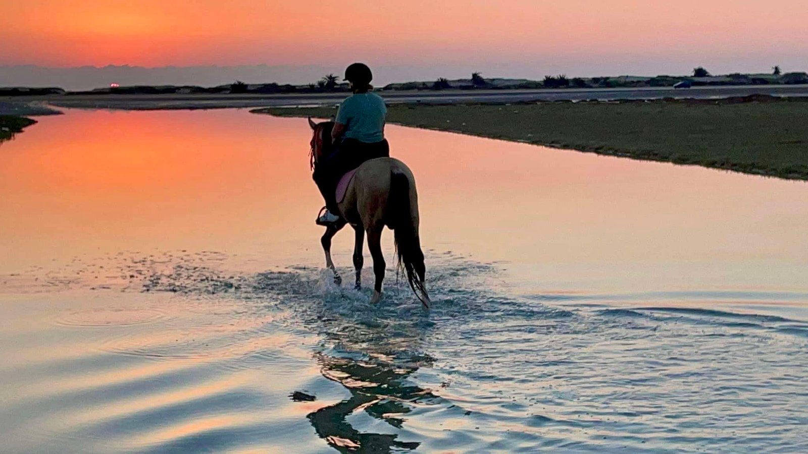 Balade à cheval 03 heures au lever du soleil à Djerba – Image 3