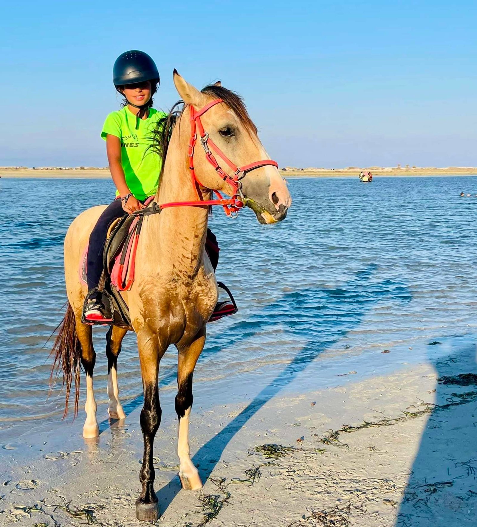 Cours particulier d'Équitation 50min à Djerba – Image 2