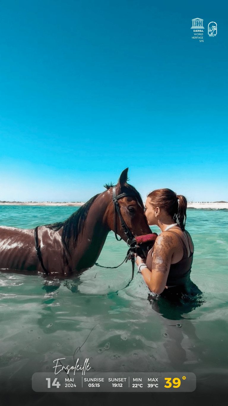 Météo Djerba 14.05.2024