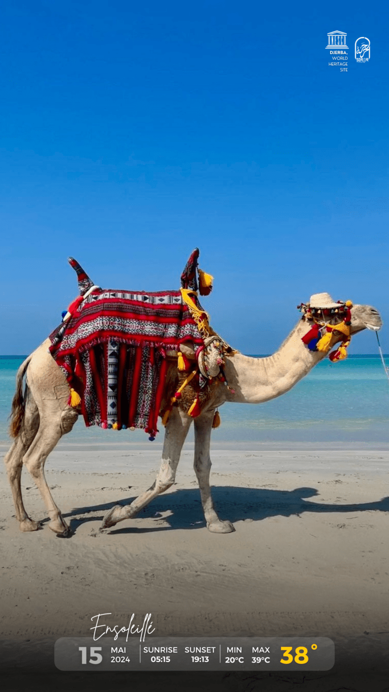 Météo Djerba 15.05.2024