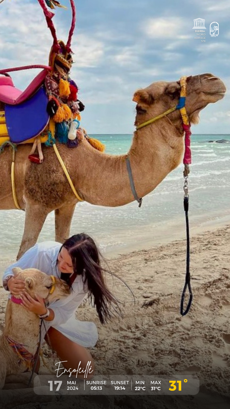 Météo Djerba 17.05.2024