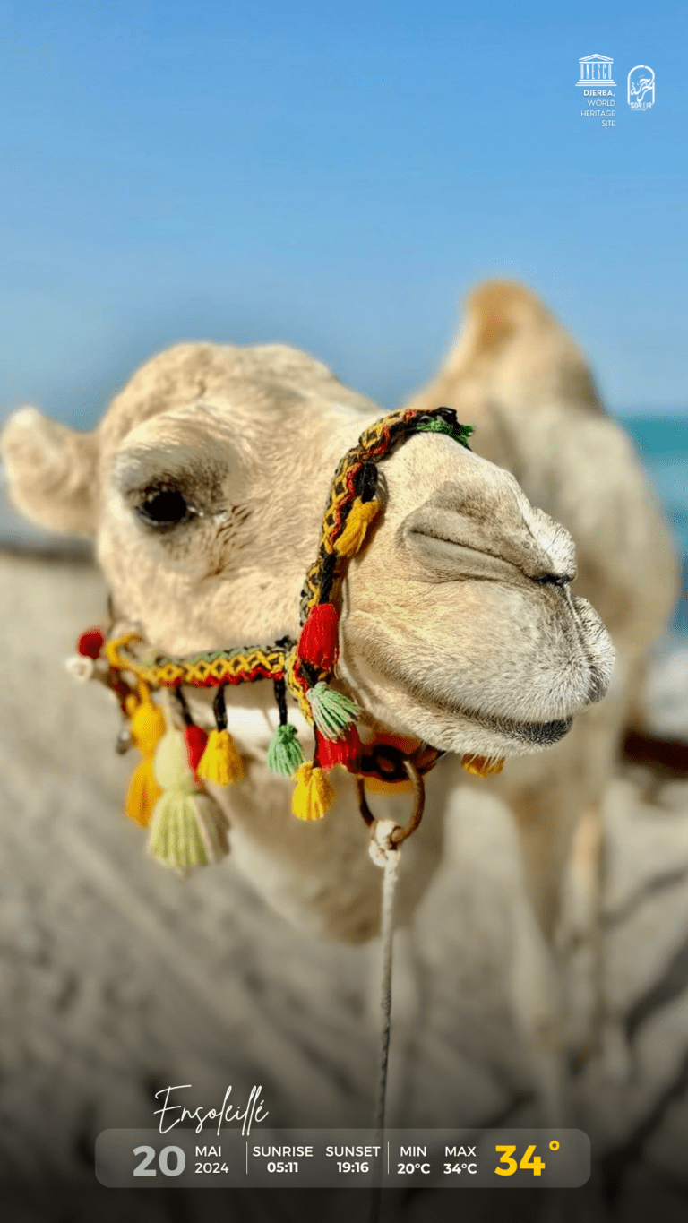 Météo Djerba 20.05.2024