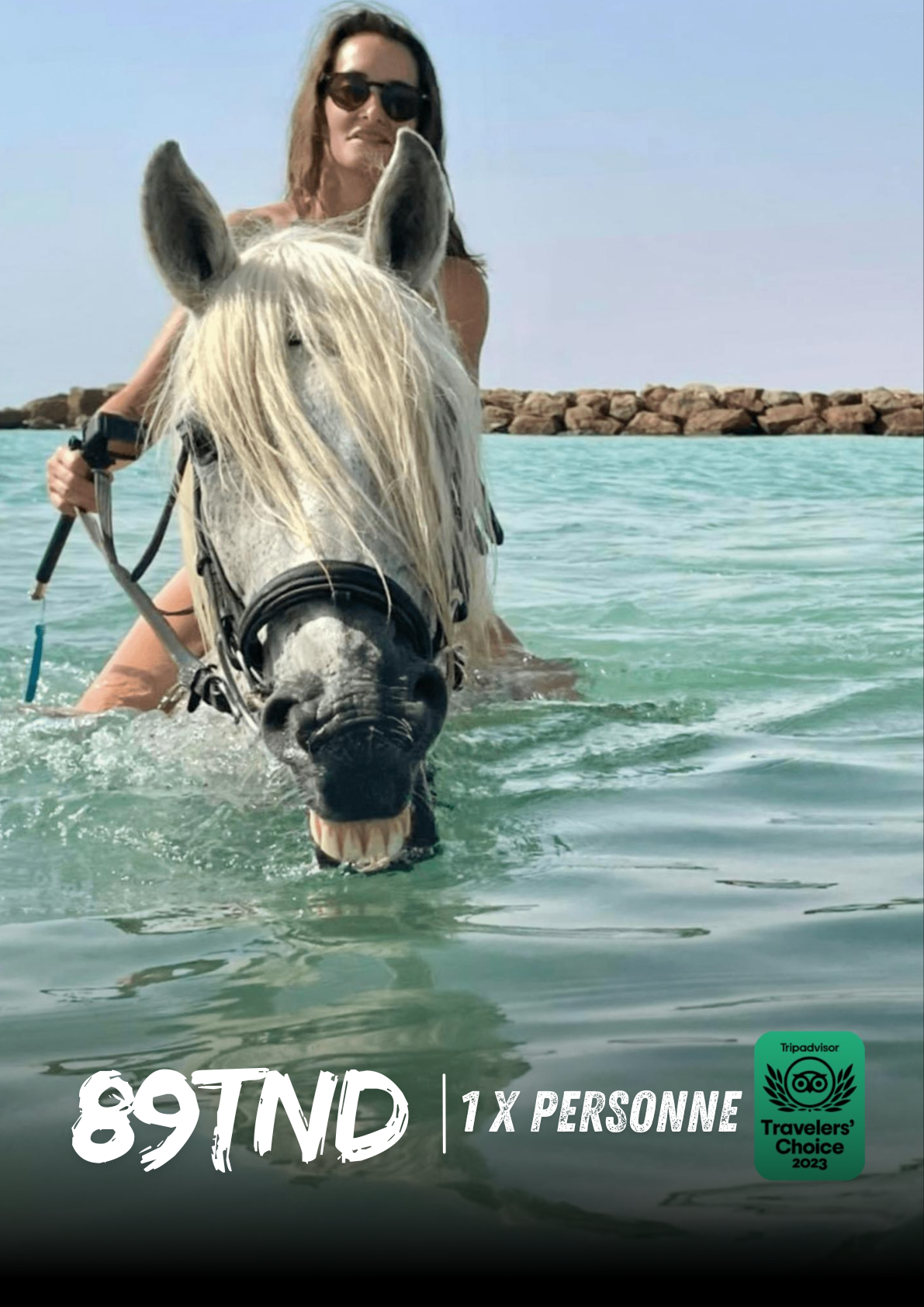 baignade avec les chevaux à djerba - sortiradjerba