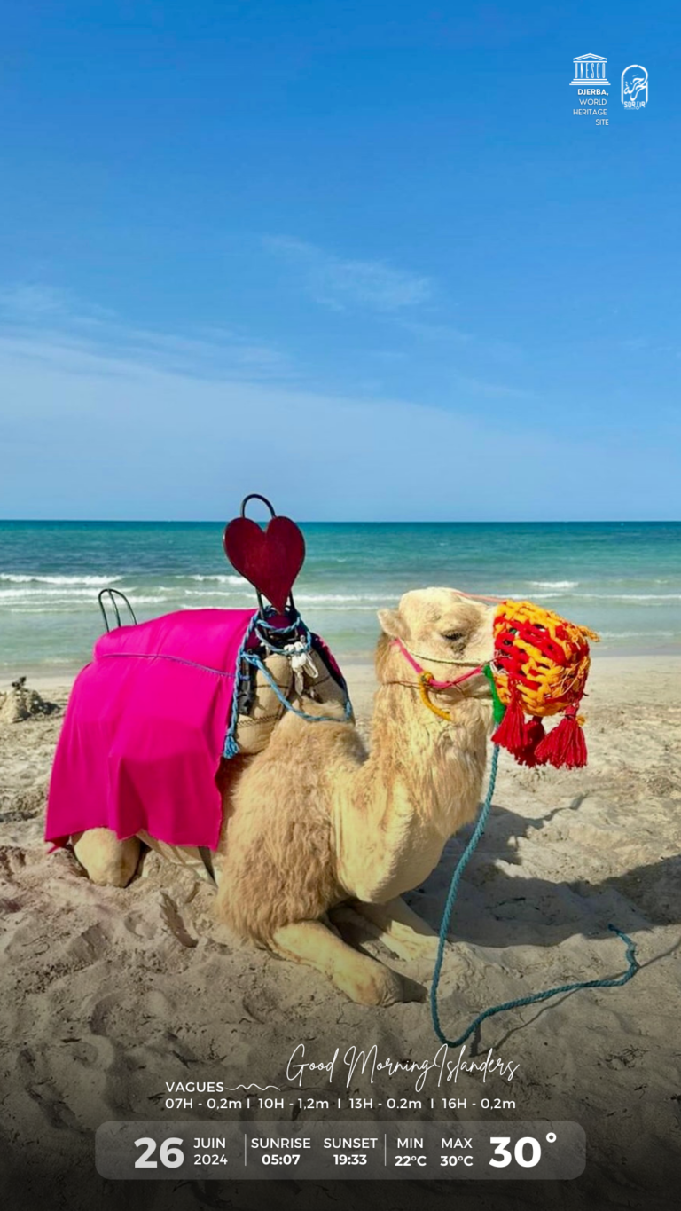 Météo Djerba 26.06.2024