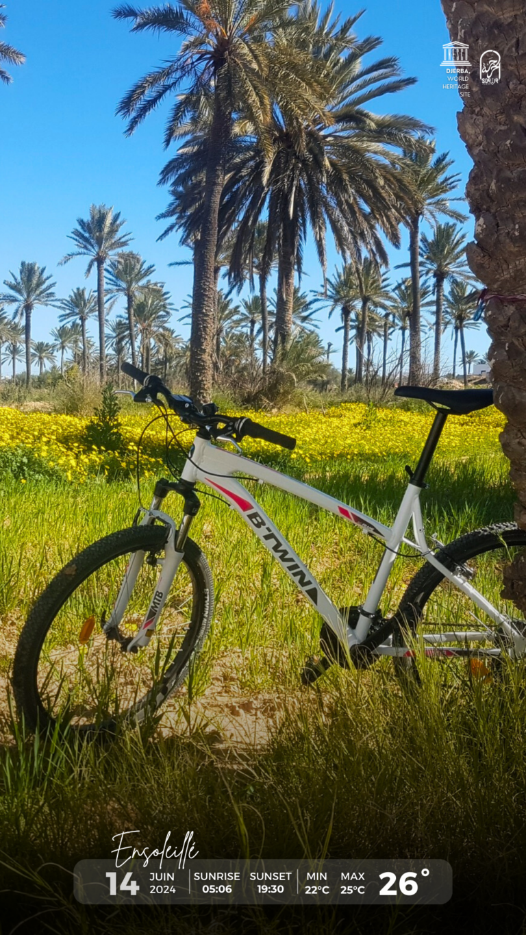 Météo Djerba 14.06.2024