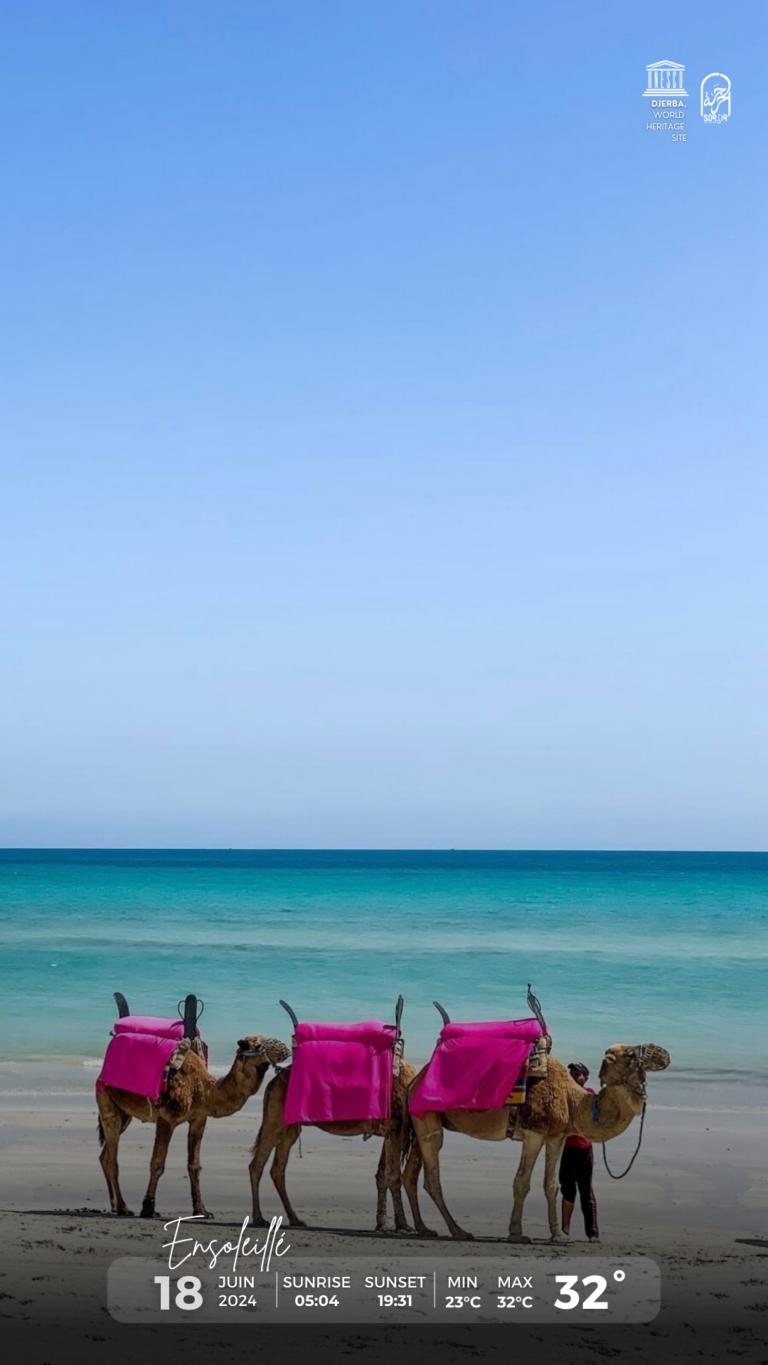 Météo Djerba 18.06.2024