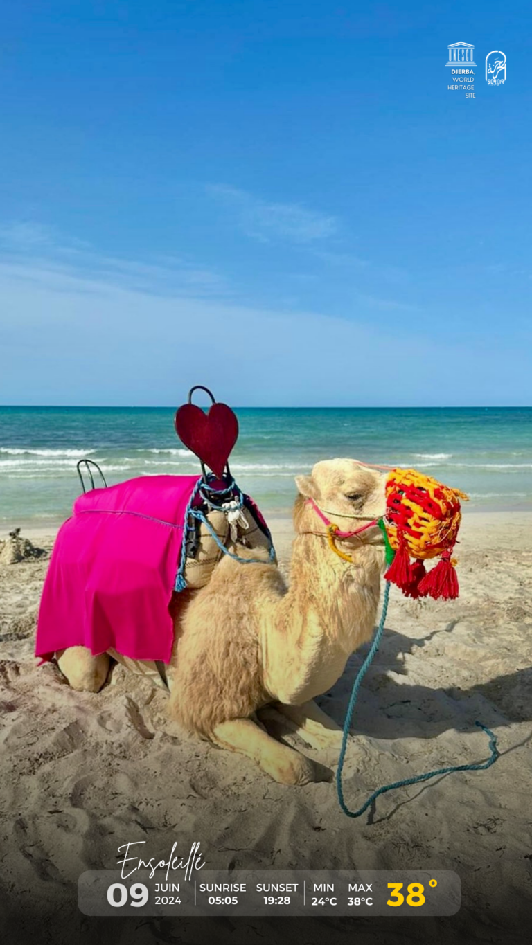 Météo Djerba 09.06.2024