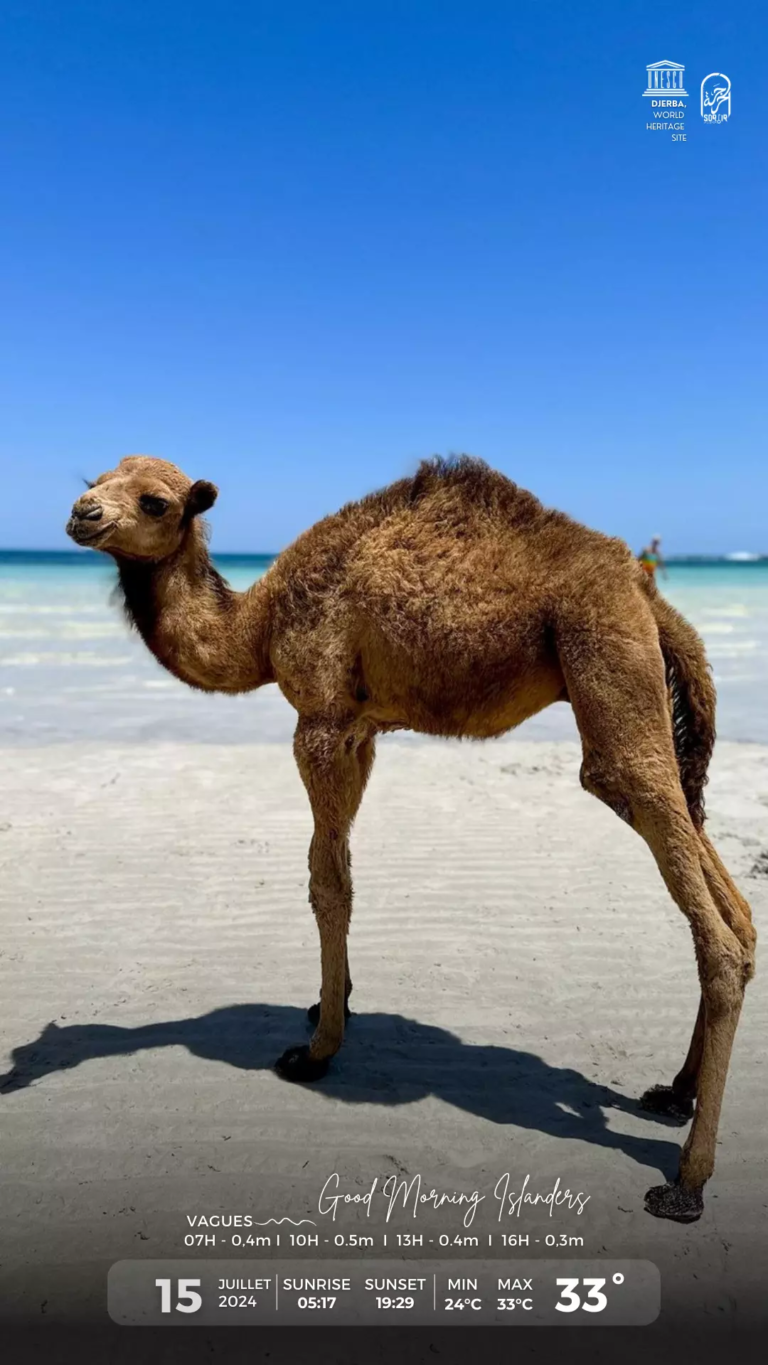 météo djerba