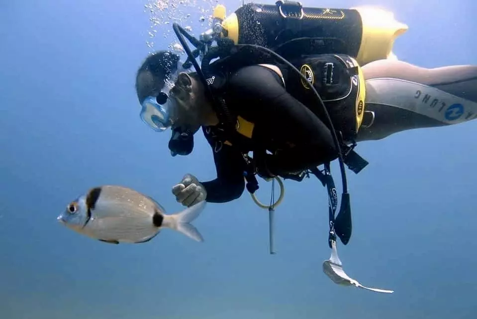 plongée sous-marine djerba sortiradjerba