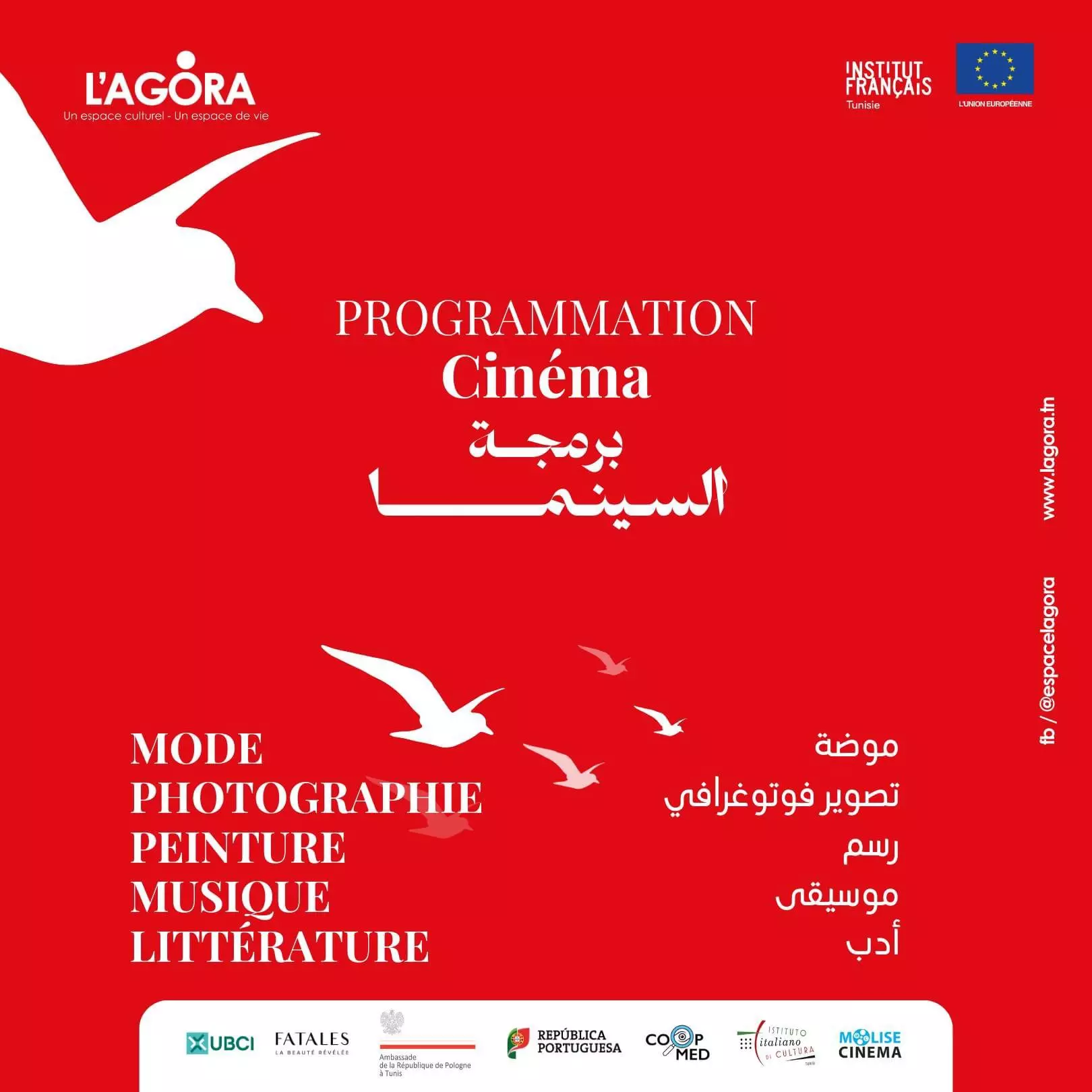 festival vues sur les arts agora djerba sortiradjerba