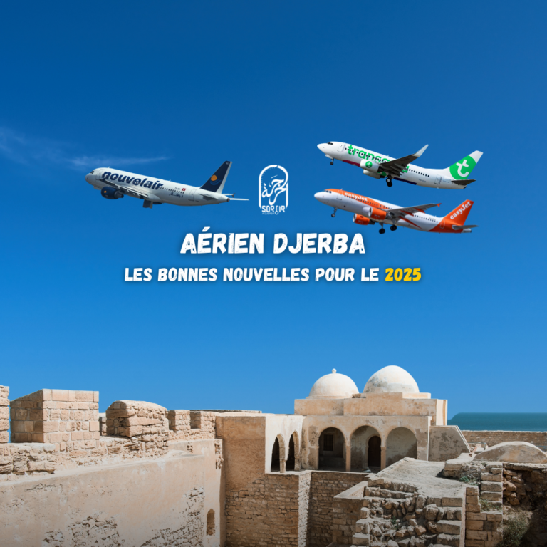 Djerba-Aérien : le résumé des premières bonnes nouvelles pour 2025