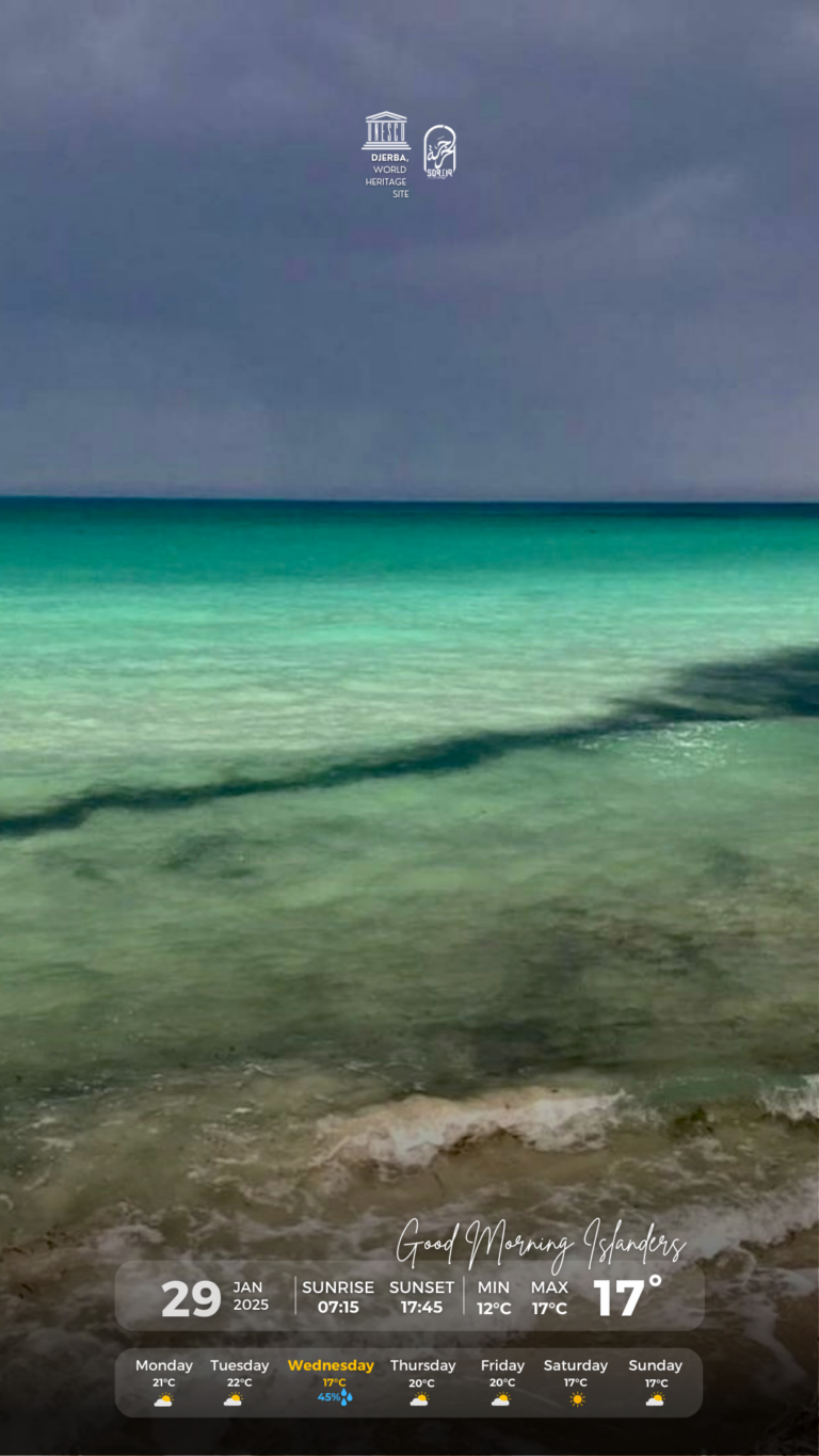 Météo Djerba 29.01.2025