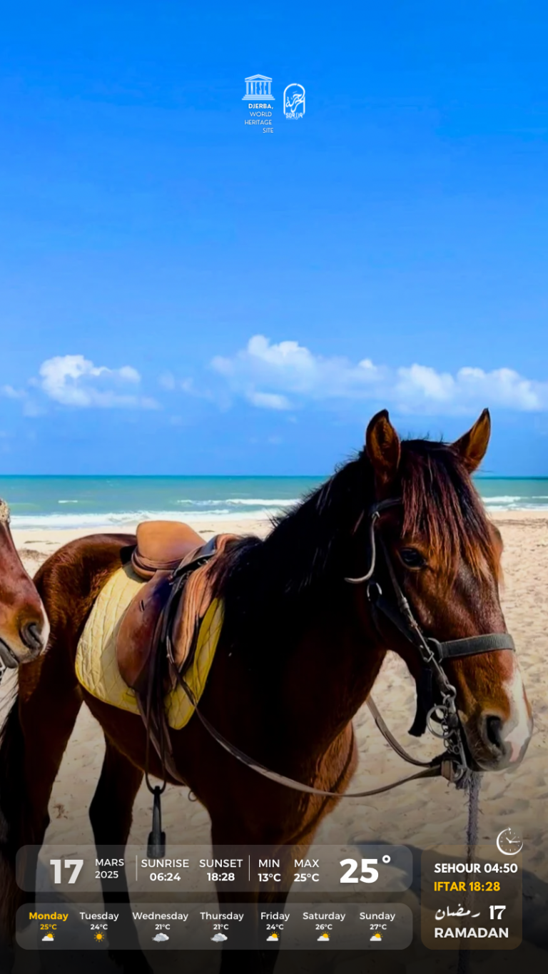 Météo Djerba lundi 17.03.2025