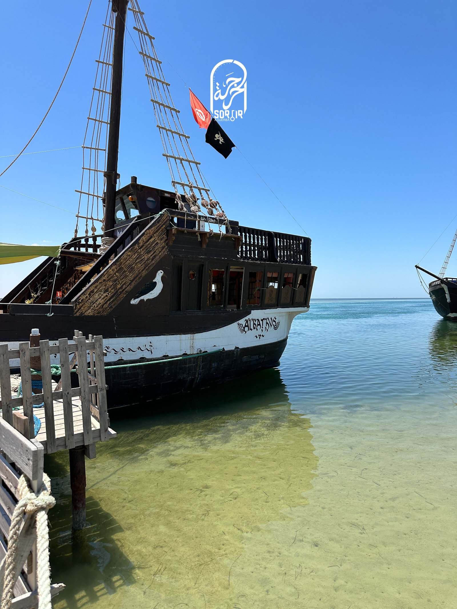 île des Flamants Roses en Bateau avec Albatros - Odyssée - Alyssa à Djerba I Menu Pêcheur – Image 11