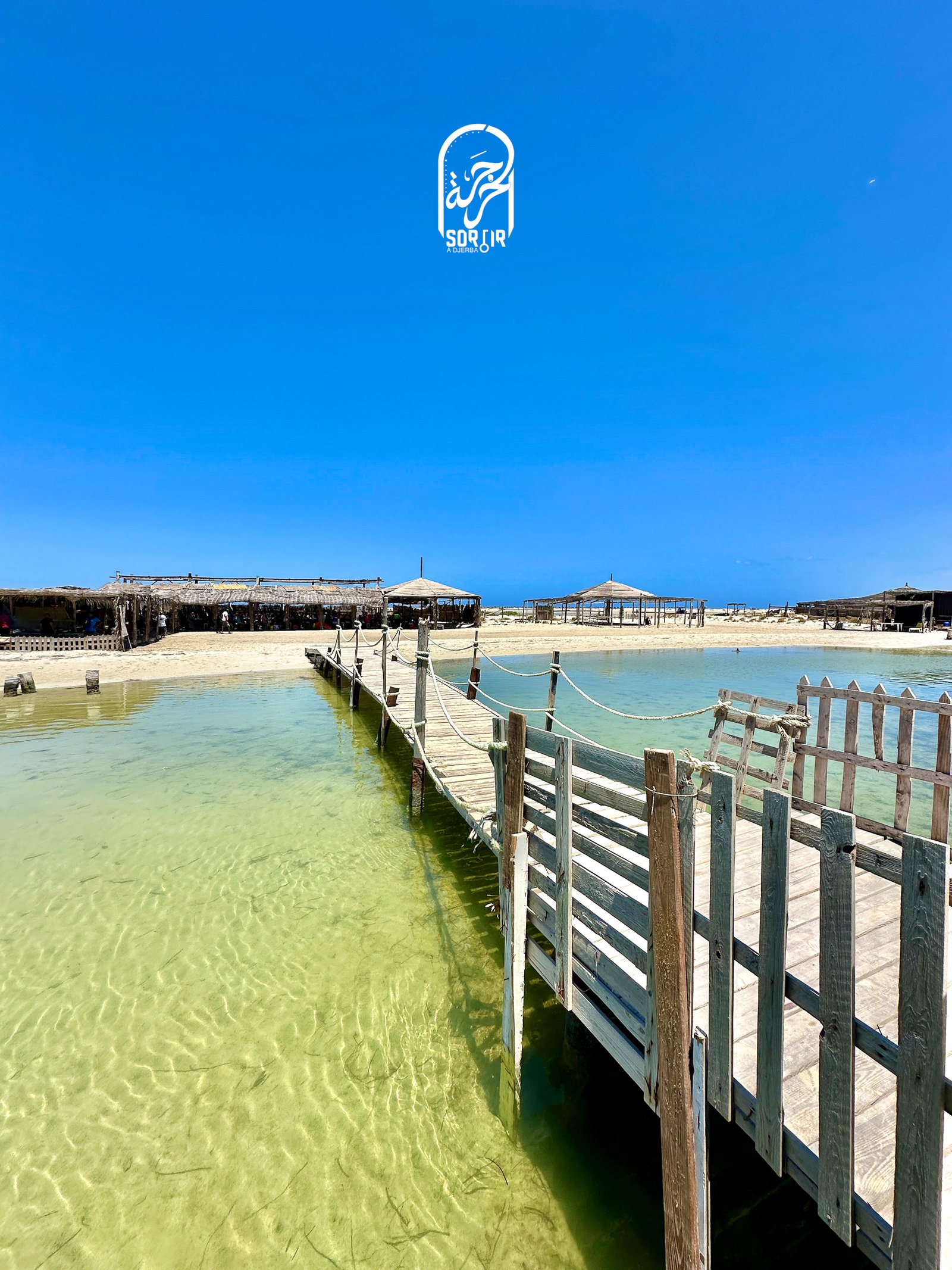 île des Flamants Roses en Bateau avec Albatros - Odyssée - Alyssa à Djerba I Menu Pêcheur – Image 14