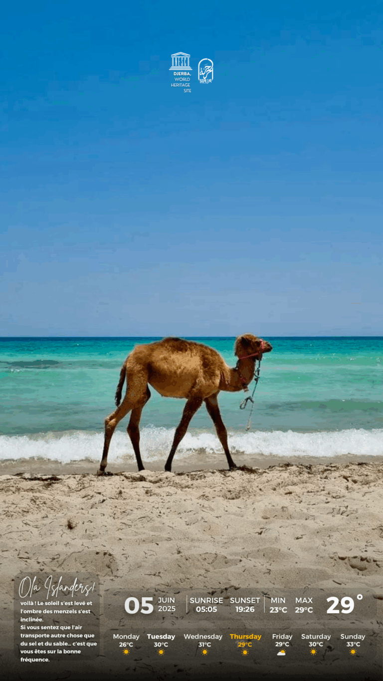 Météo Djerba jeudi 05.06.2025